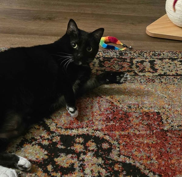 Welcoming New Joys of 2026